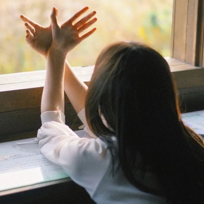 打火机与公主裙